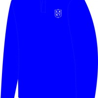 REMERA MANGA LARGA PRIMARIA